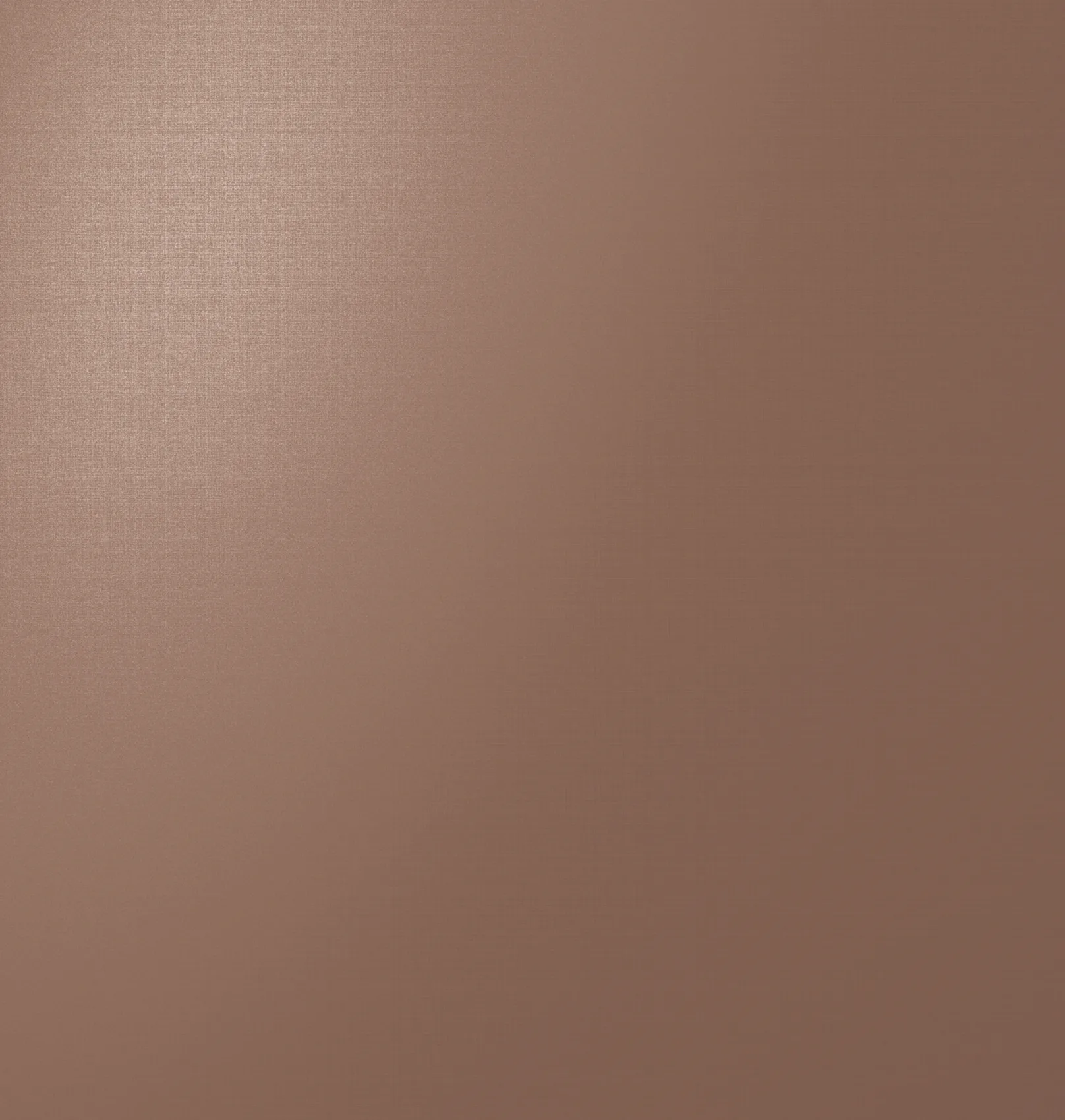 Nacra Bronze — detail